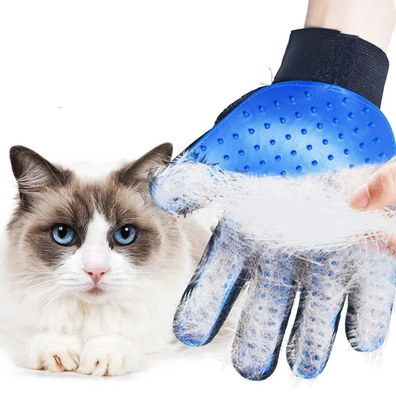 Gant de toilettage pour chien et chat