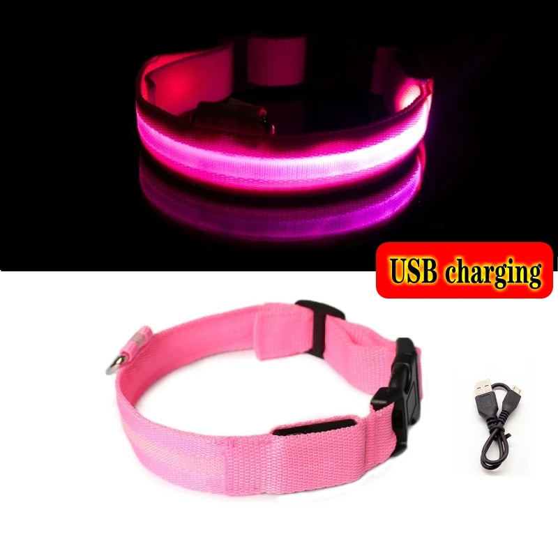 Collier LED rechargeable pour chien – Rose
