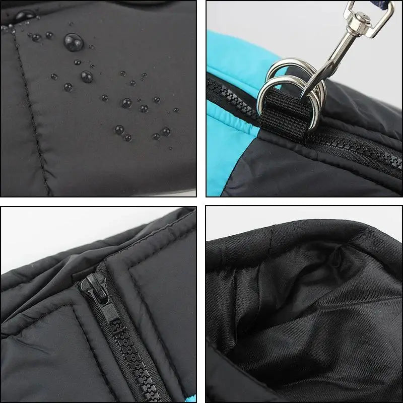 Manteau matelassé pour chien
