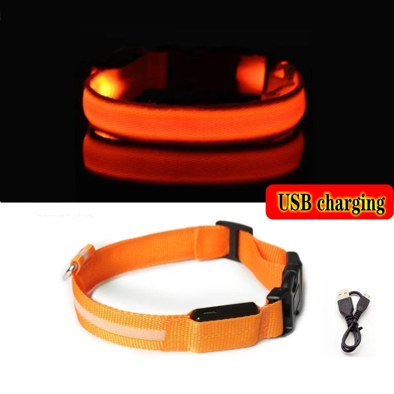 Collier LED rechargeable pour chien – Orange