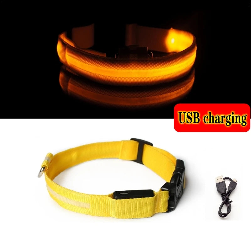 Collier LED rechargeable pour chien – Jaune