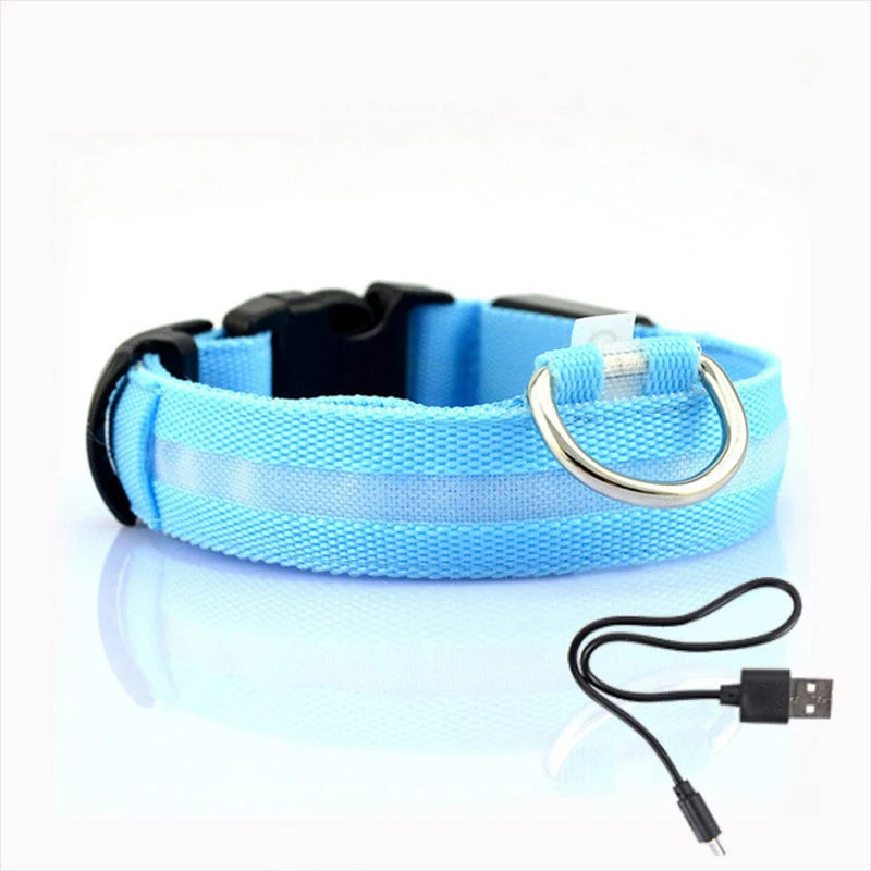 Collier lumineux LED pour chien