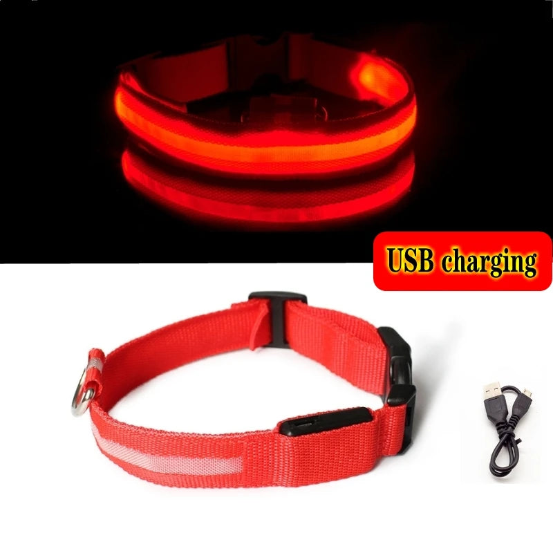 Collier LED rechargeable pour chien – Rouge