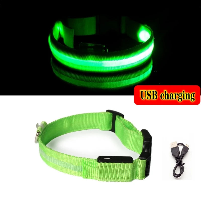 Collier LED rechargeable pour chien – Vert