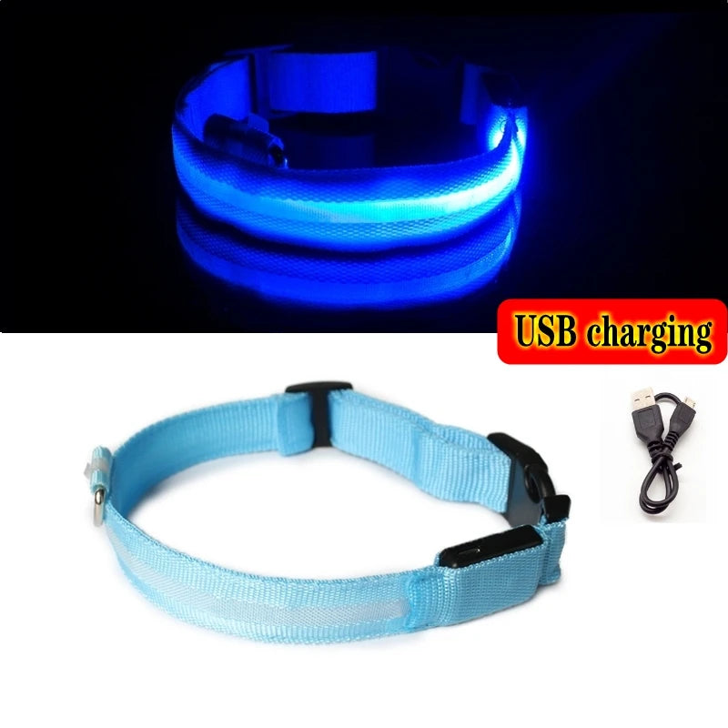 Collier LED rechargeable pour chien – Bleu