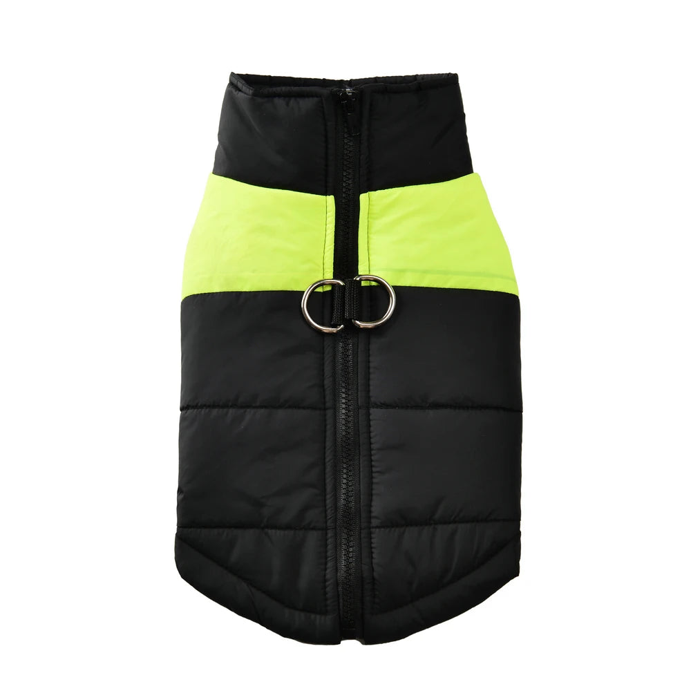 Manteau matelassé pour chien