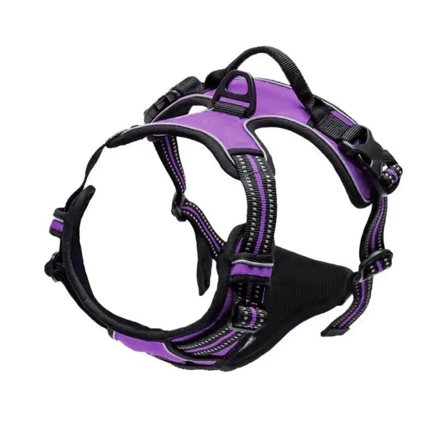 Harnais réfléchissant pour chien – Violet