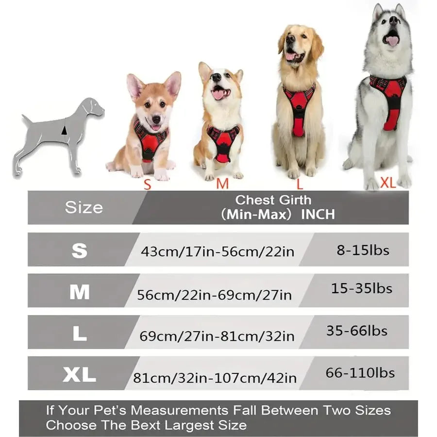 Harnais gilet réfléchissant pour chien