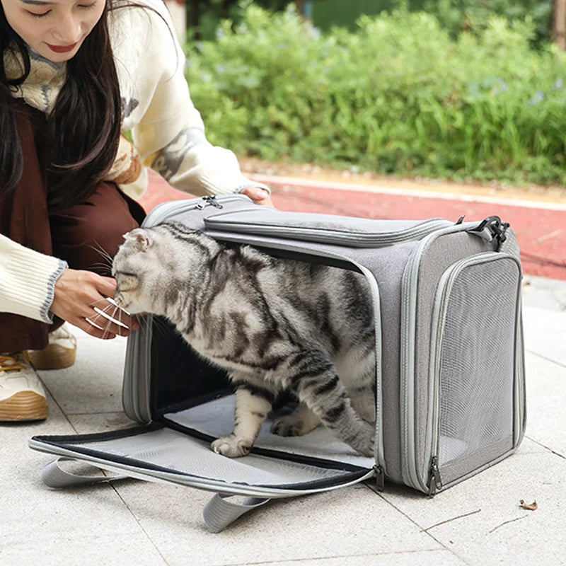 Sac de transport souple pour chien et chat
